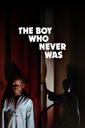 The Boy Who Never Was's poster