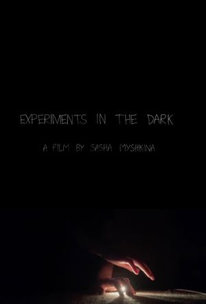 Experiments in the Dark's poster