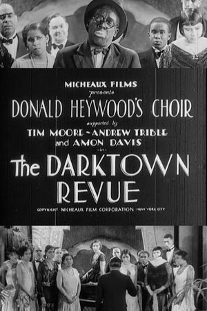 The Darktown Revue's poster