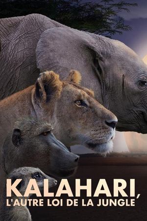 Kalahari, l'autre loi de la jungle's poster