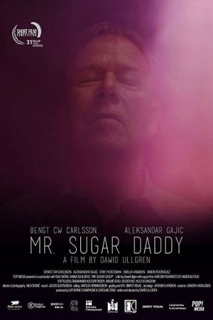 Mr. Sugar Daddy's poster