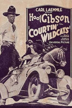 Courtin' Wildcats's poster