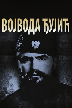 Vojvoda Djujic's poster