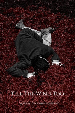 Tell the Wind Too's poster