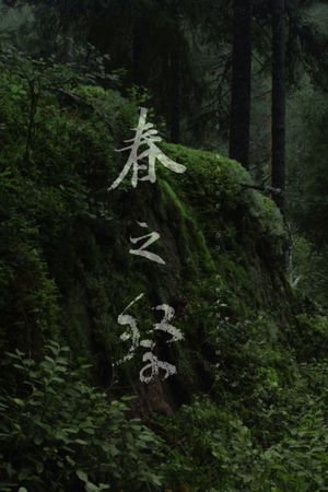 Le Sacre Du Printemps (Tandvarkstallen)'s poster