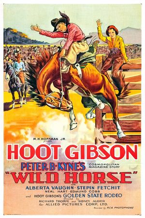 Wild Horse's poster