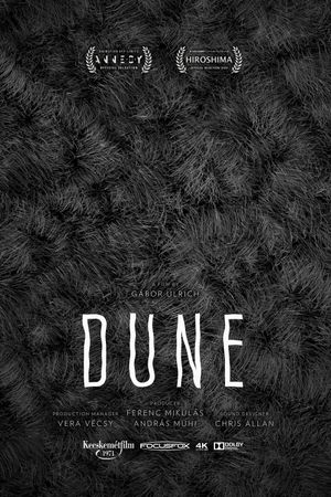 Dune's poster