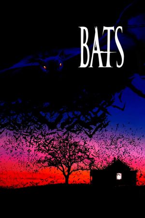Bats's poster