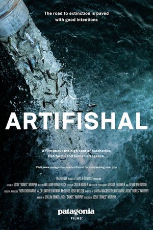 Artifishal's poster