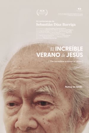 The incredible summer of Jesús's poster