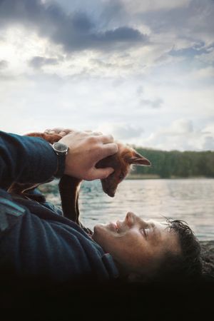 The Fox's poster