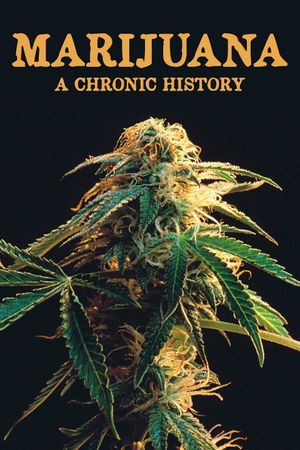 Marijuana: A Chronic History's poster