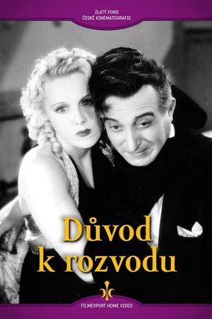 Duvod k rozvodu's poster