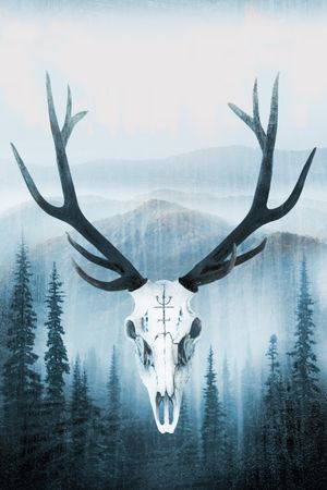 Wrong Turn's poster