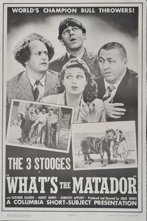 What's the Matador?'s poster