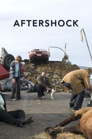 Aftershock's poster