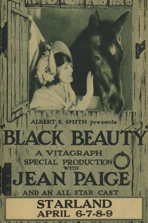 Black Beauty's poster