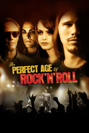 The Perfect Age of Rock 'n' Roll's poster image