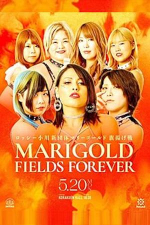 Marigold Fields Forever's poster