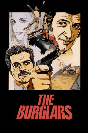 The Burglars's poster
