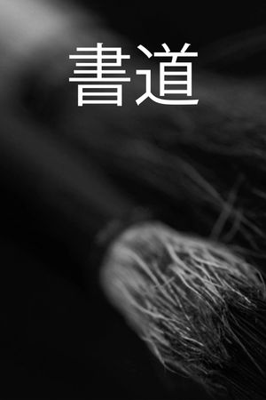 Shodo's poster