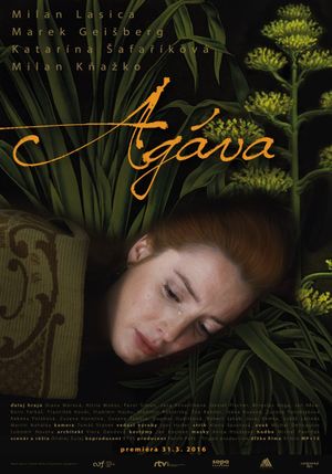 Agava's poster