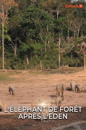 L' éléphant de forêt après l'éden's poster image