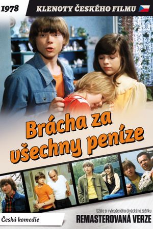 Brácha za vsechny penize's poster