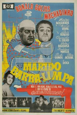 Um Marido Barra-Limpa's poster image