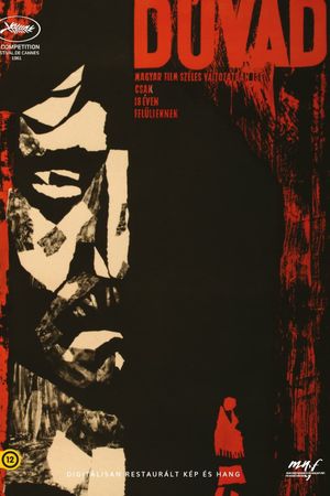 The Brute's poster