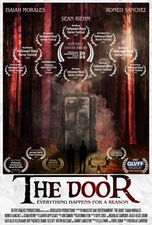 The Door's poster