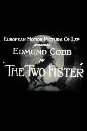 The Two Fister's poster