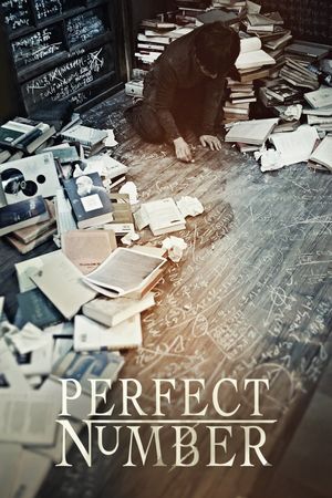 Perfect Number's poster