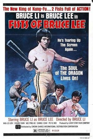 Fists of Bruce Lee's poster