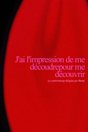 J'ai l'impression de me découdrepour me découvrir's poster