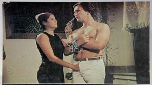 A Noite das Taras II's poster