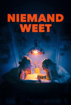 Niemand weet's poster image