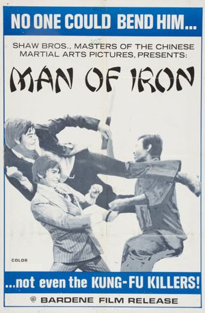 Man of Iron's poster