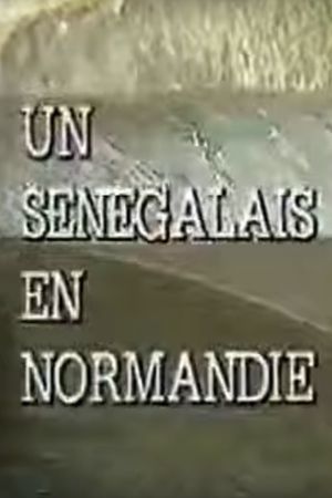 Un Sénégalais en Normandie's poster
