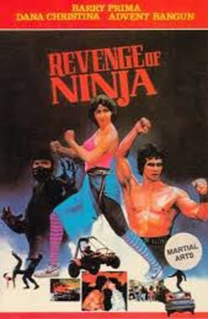 Revenge of the Ninja's poster
