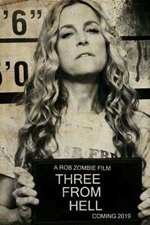 3 from Hell's poster