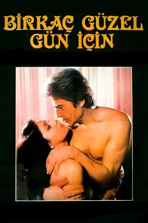 Birkaç Güzel Gün Için's poster