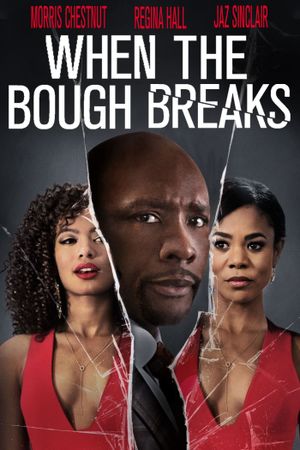 When the Bough Breaks's poster