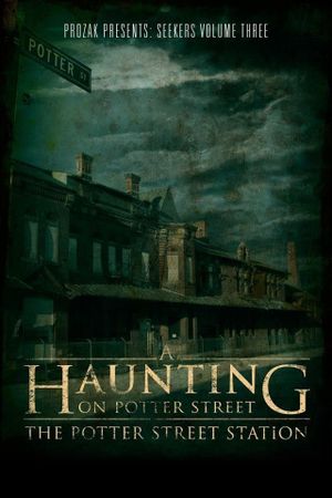 A Haunting on Potter Street: The Potter Street Station's poster image