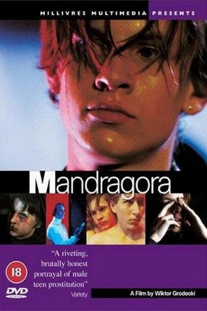 Mandragora's poster