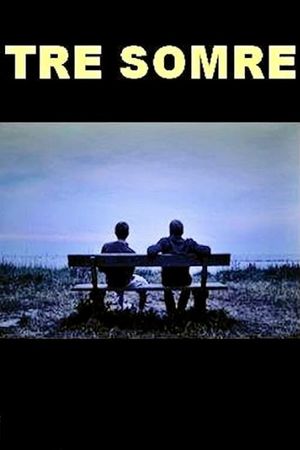 Three Summers's poster