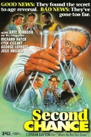 Second Chance's poster