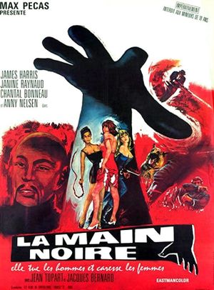 La main noire's poster
