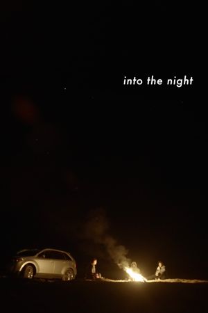 Into the Night's poster