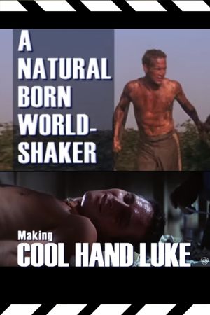 A Natural Born World-Shaker: The Making of 'Cool Hand Luke''s poster